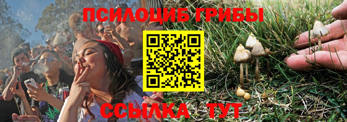 Бошки Шишки  ГАШ  Метадон  Меф   Канск  Купить наркотики цена  Вход с VPN  ГАШ  КОКАИН 