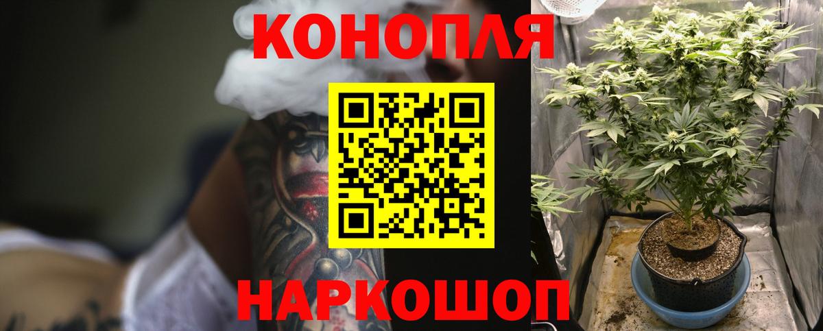 Бошки Шишки Amnesia Канск